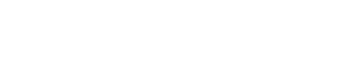 Link&Grow logo